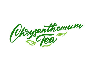 Chrysanthemum tea hand drawn illustration. Template for card banner and poster for restaurant menu and package. Vector illustration