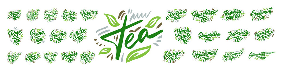 Set of tea hand drawn illustration. Template for card banner and poster for restaurant menu and package. Vector illustration