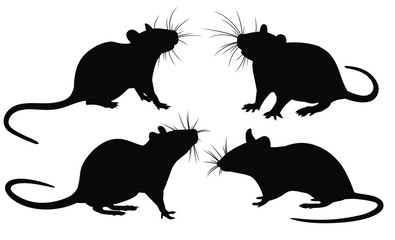 The set of Rat silhouettes.