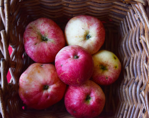 bright fragrant apples close-up