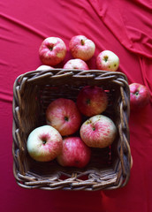 bright fragrant apples close-up