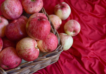 bright fragrant apples close-up