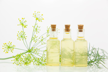 dill essential oil in  beautiful bottle on White background