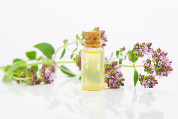 Essence of Oregano flowers on table in beautiful glass Bottle
