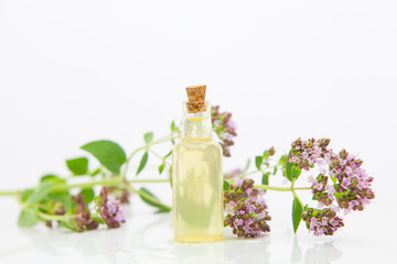 Essence of Oregano flowers on table in beautiful glass Bottle