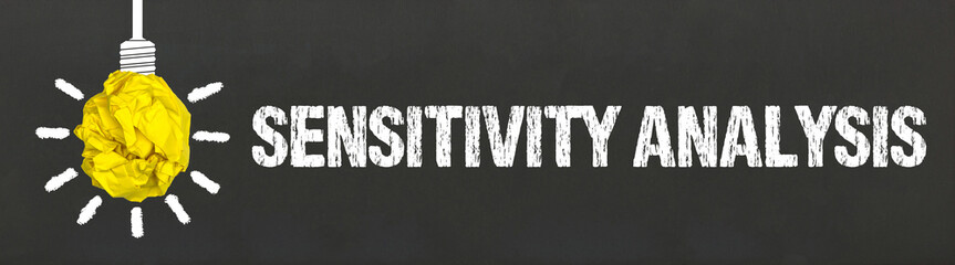 Sensitivity Analysis 