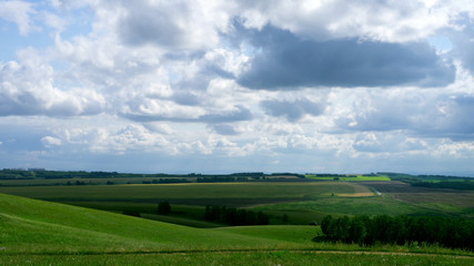 landscape, green agricultural fields on the horizon forest, and the sky with large dark Cumulus clouds