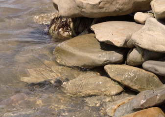 Sea stones, water and algae.