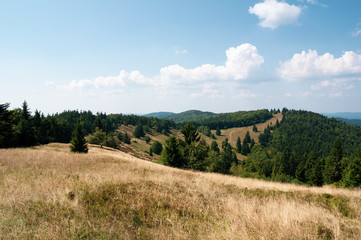 Fototapeta na wymiar Velky Javornik, Javorniky, Beskid bountains, Czech Republic / Czechia - viewpoint and outlook from top of the hill and mountain. Meadow, trees and blue sky. Late summer warm colors. 