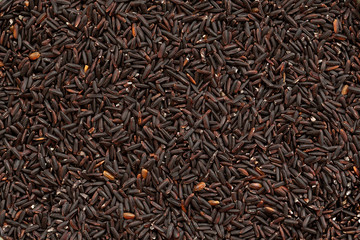 Grain black rice background. Black rice is whole grain. Food background. Top view