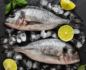 Fresh fish dorado