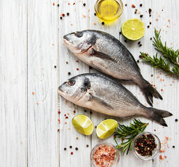 Fresh fish dorado