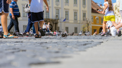 Obraz premium Summer in the city, old cobbled street. View at the sidewalk.