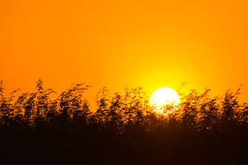 Black and orange background, sunset