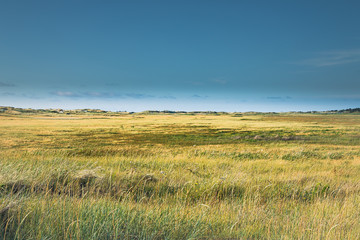 Fototapeta premium The Beach of Sankt Peter-Ording - Sand Dunes - Northern Germany - Schleswig-Holstein