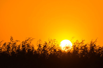Black and orange background, sunset