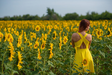 Fototapeta premium A red-haired woman in a yellow dress is standing in a field of sunflowers. Beautiful girl in a skirt sun enjoys a cloudless day in the countryside. Pink locks of hair.