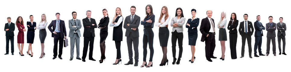 panoramic photo of a professional numerous business team