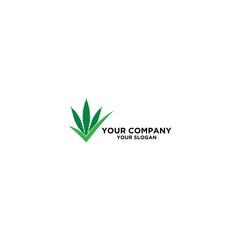 Right Cannabies Logo Design Vector