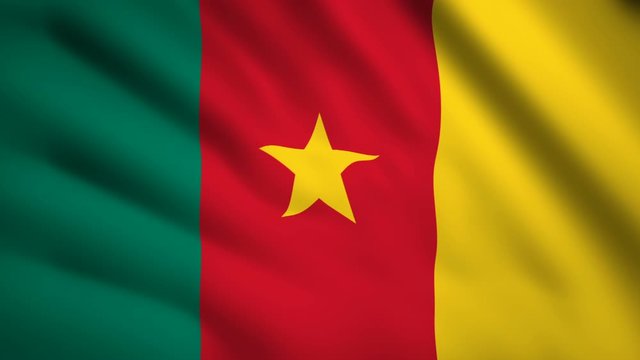 Cameroon flag Motion video waving in wind. Flag Closeup 1080p HD  footage