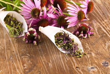 Echinacea purpurea (Echinacea purpurea) dried and in a bouquet on a wooden table surface
