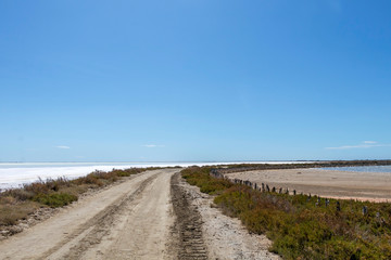 Empty road in Camargue through salt lagoons in Camarque regional nature reserve, Provence Alpes Cote Azur, France