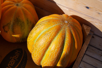 Pumpkin in the market. Pumpkin for Halloween. A whole pumpkin lies on the counter.