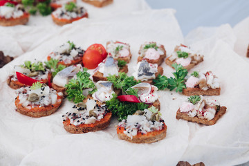 Close-up of tasty fresh and healthy sandwiches with fish, onion and cream cheese and vegetables. Crispy sandwiches with cream cheese, fish, black sesame, herring and tomatoes decorated with parsley.