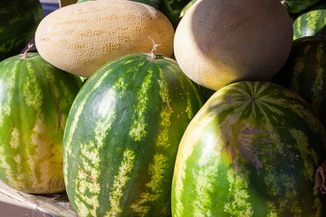 Watermelons and melons are sold in the market. Tasty juicy fruits. Berries are a source of health.
