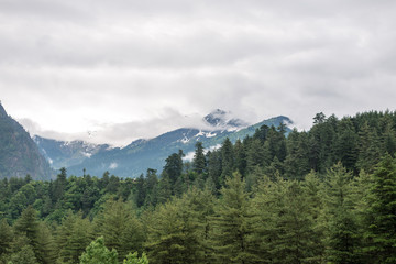 Landscape of Manali in Himachal