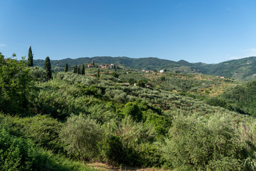 Rural landscape from Buggiano Castello, Tuscany