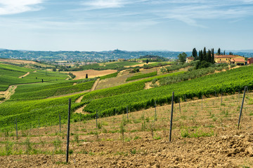 Fototapeta na wymiar Landscape in Chianti near Fucecchio at summer