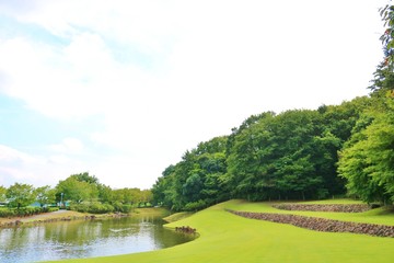 夏　緑　池　風景　公園　杤木