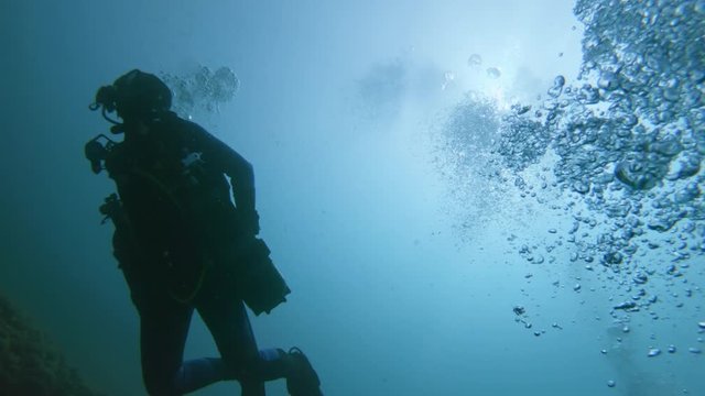 Divers underwater swimming in the sea