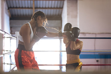 Boxers fighting in boxing ring