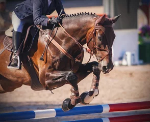 Raamstickers A chestnut horse, dressed in brown horse gear, with a rider in the saddle jumps over a high red and blue barrier at jumping competitions. ©  Valeri Vatel