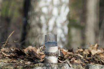 Pouring birch sap into a glass.