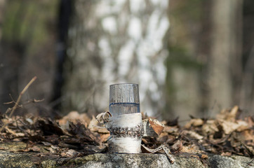 Pouring birch sap into a glass.