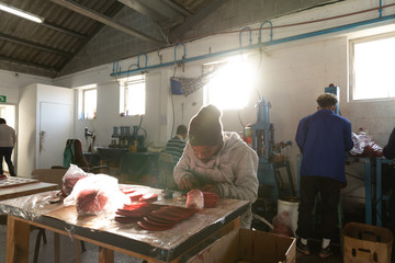 Young man working in a sports equipment factory