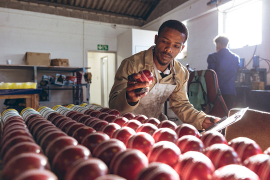 Young man holding a cricket ball and a clipboard in a factory - Powered by Adobe