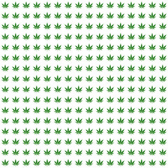 Marijuana pattern vector white background