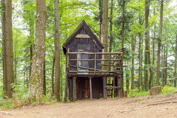 Hunting lodge in the forest, summer