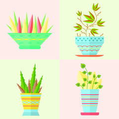 Home plants and decorative flowers in pots. Garden flower pot for green interior of the house. Set of flat colorful illustrations