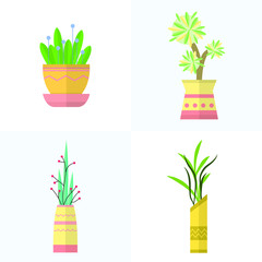 Home plants, flowers in vases and decorative flowers in pots. Garden flower pot for green interior of the house. Set of flat colorful illustrations