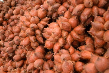Fototapeta premium Salacca zalacca, Snake fruit background
