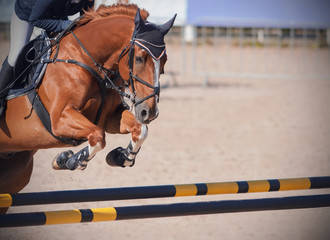 A redhead horse with a rider in the saddle jumps a high yellow-black barrier on a sandy arena at...