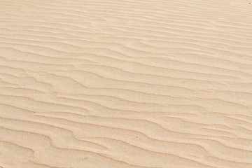 Fototapeta na wymiar Sand Dune Desert Texture