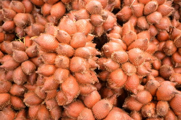 Fototapeta premium Salacca zalacca, Snake fruit background