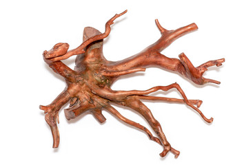 Brown Snag or Root, dead dry Snag, Driftwood Tree Stump isolated on white Background