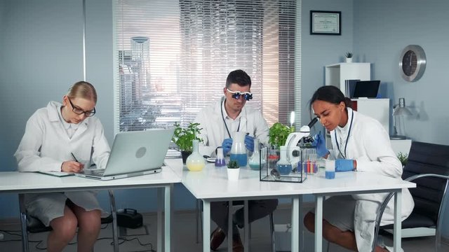 Mixed race team of research scientists working in modern bright chemistry lab well equipped with modern instruments